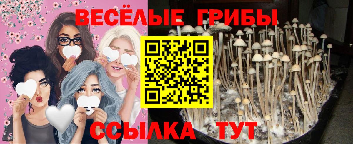Псилоцибиновые грибы ЛСД Сатка