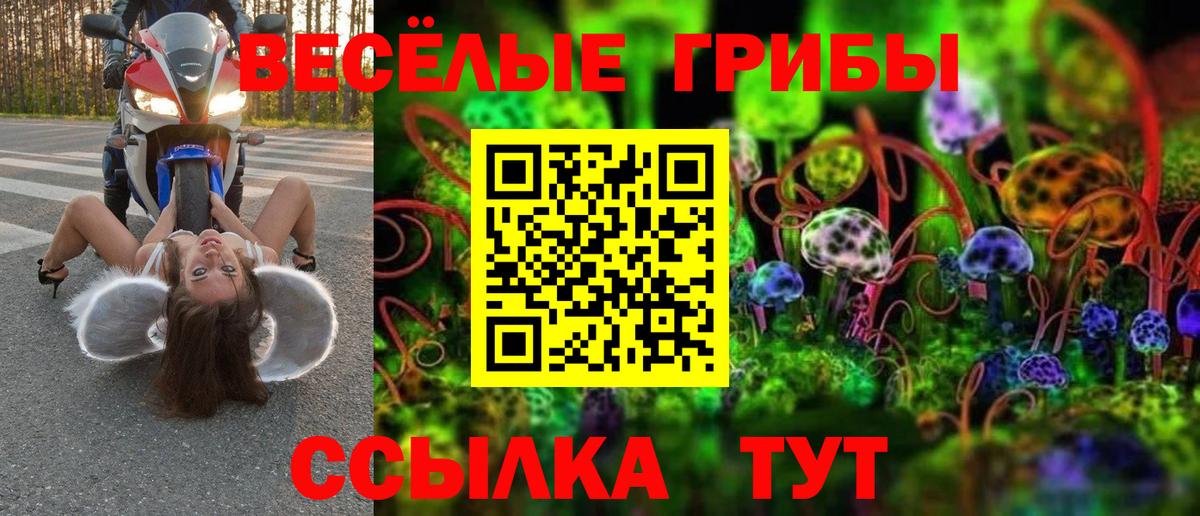купить наркоту  Псилоцибиновые грибы мухоморы  Вход с VPN  Сатка 